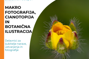 makro foto